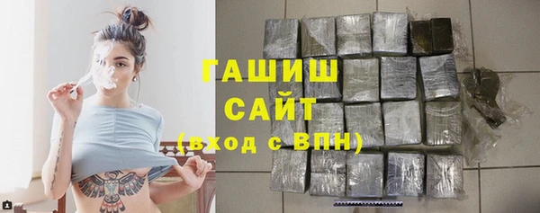 хмурый Бородино