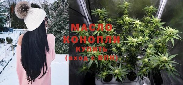 хмурый Бородино