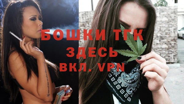 хмурый Бородино