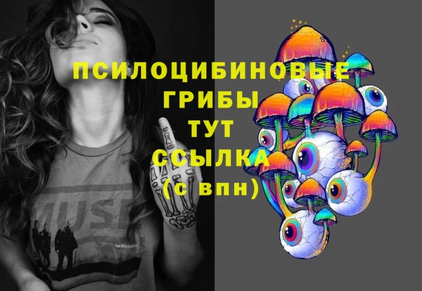 хмурый Бородино