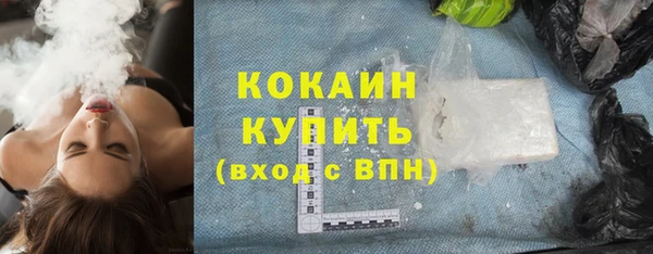 хмурый Бородино
