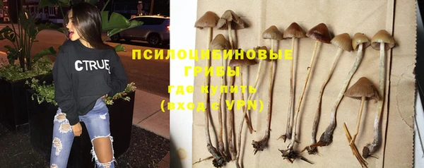гидропоника Сосновоборск
